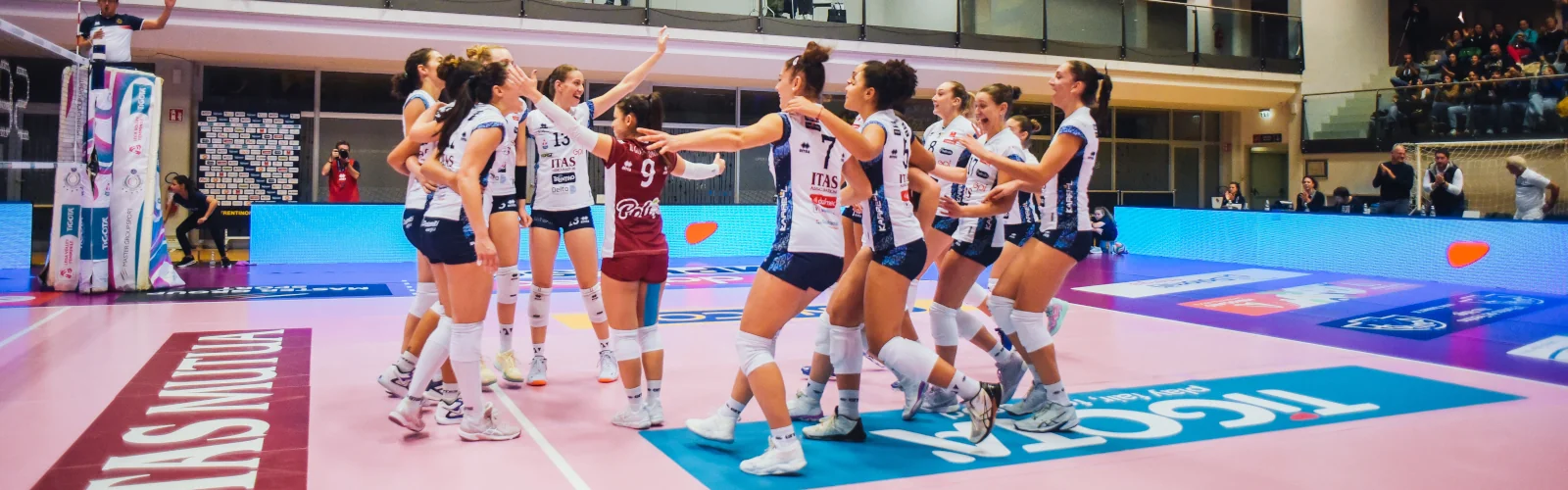 Volley